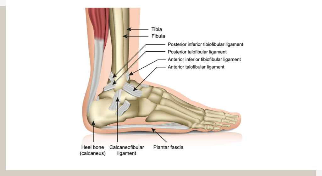 Ankle Surgery Bergen County, NJ - LALL Orthopedics